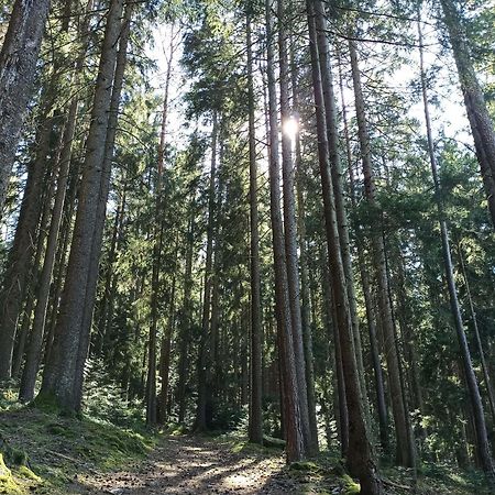 Ferienwohnung Brentenholz Санкт-Георген-им-Шварцвальд Экстерьер фото