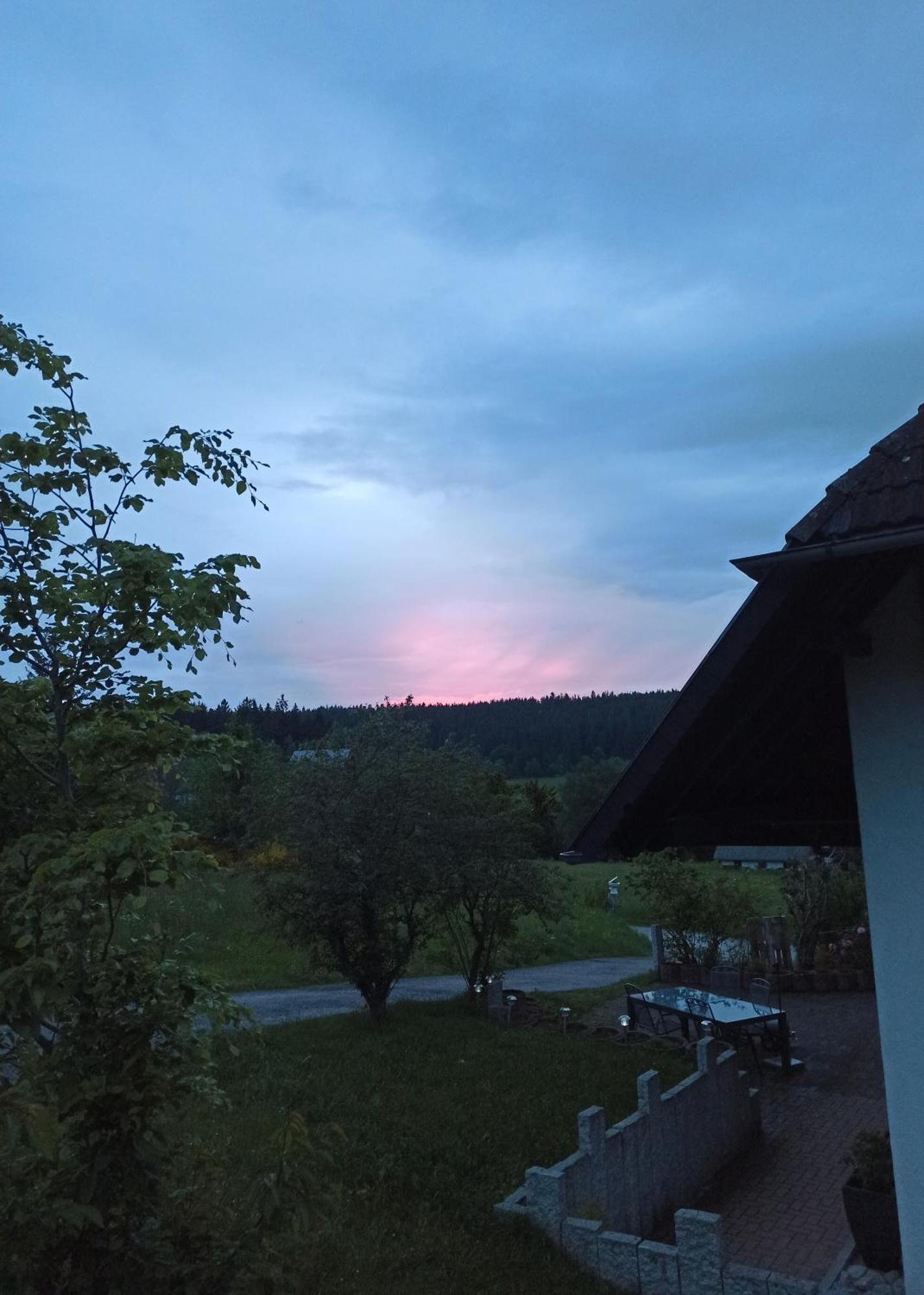 Ferienwohnung Brentenholz Санкт-Георген-им-Шварцвальд Экстерьер фото